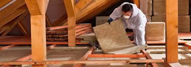 Best Insulation for New Construction in Oronoco, MN