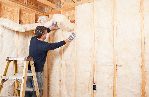 Best Soundproof Insulation in Oronoco, MN