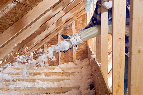 Best Fireproof Insulation in Oronoco, MN