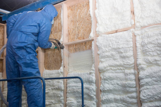 Best Spray Foam Insulation in Oronoco, MN